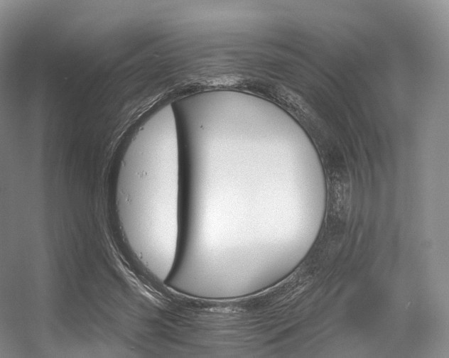 X0000056320541200508260853