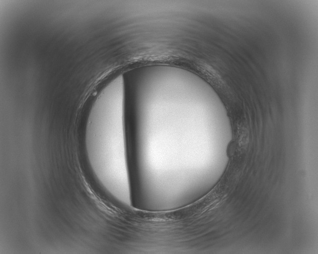 X0000056320542200508260853
