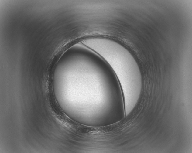 X0000056320544200508260853