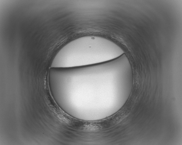 X0000056320545200508260853