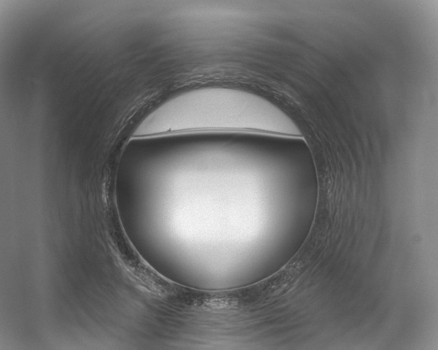 X0000056320546200508260853