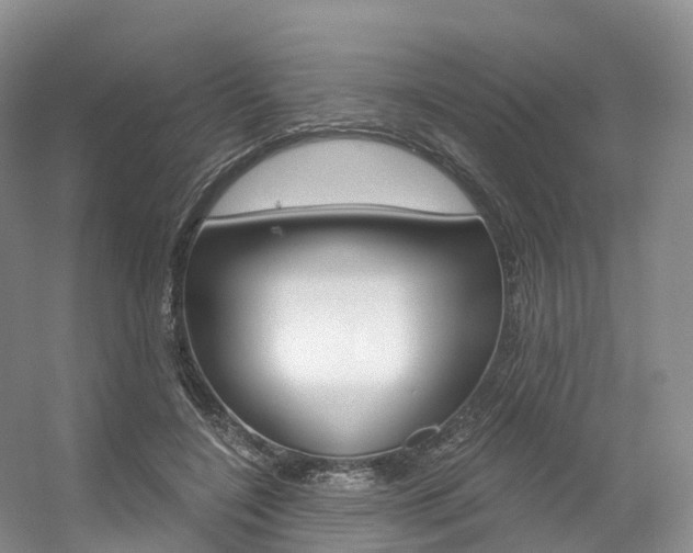 X0000056320548200508260854