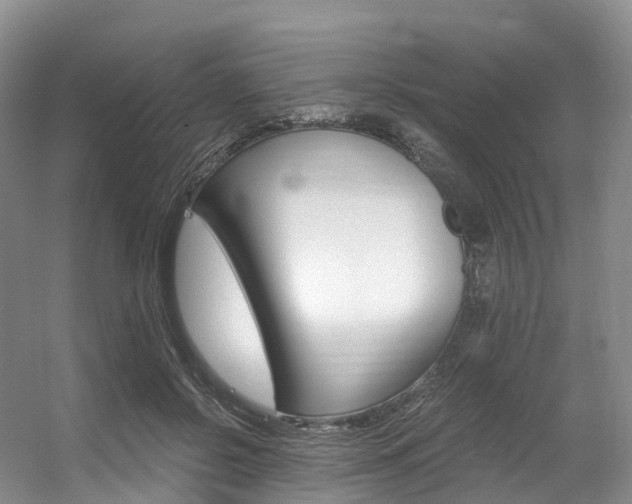 X0000056320550200508260854