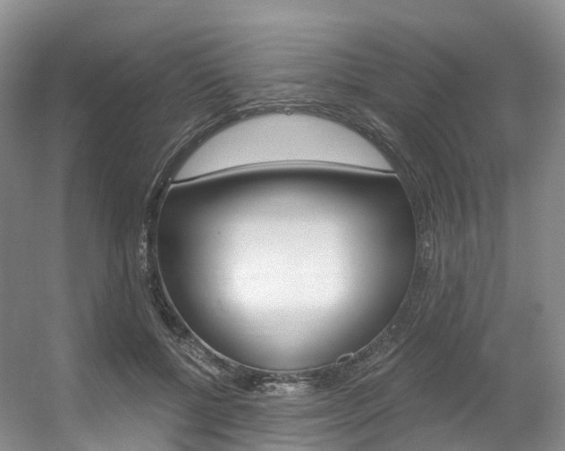 X0000056320552200508260854