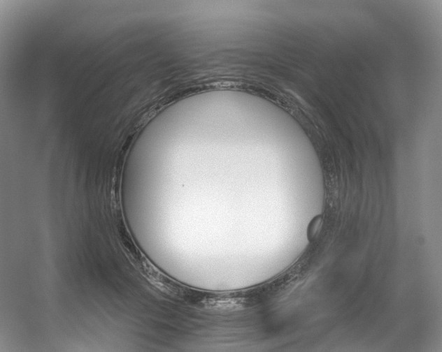 X0000056320553200508260854