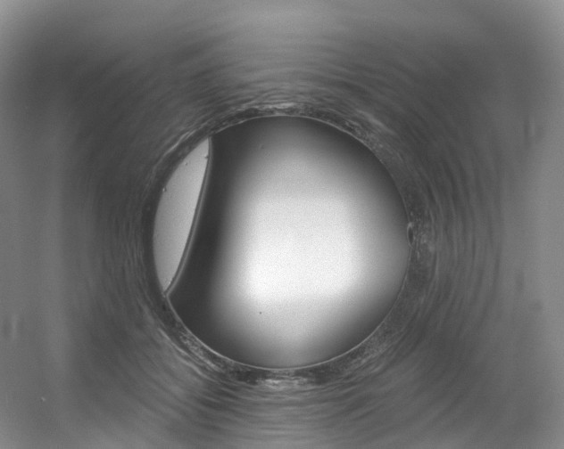 X0000056320556200508260854