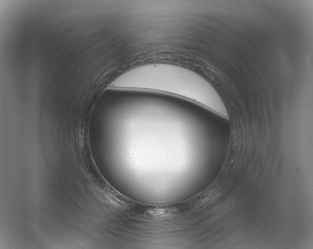X0000056320558200508260854