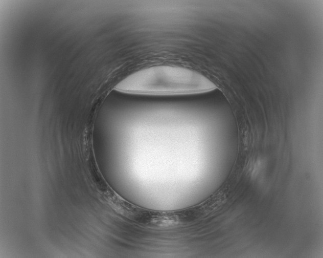X0000056320559200508260854