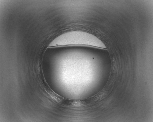 X0000056320562200508260854
