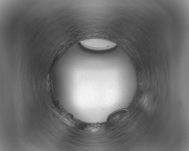 X0000056320563200508260854