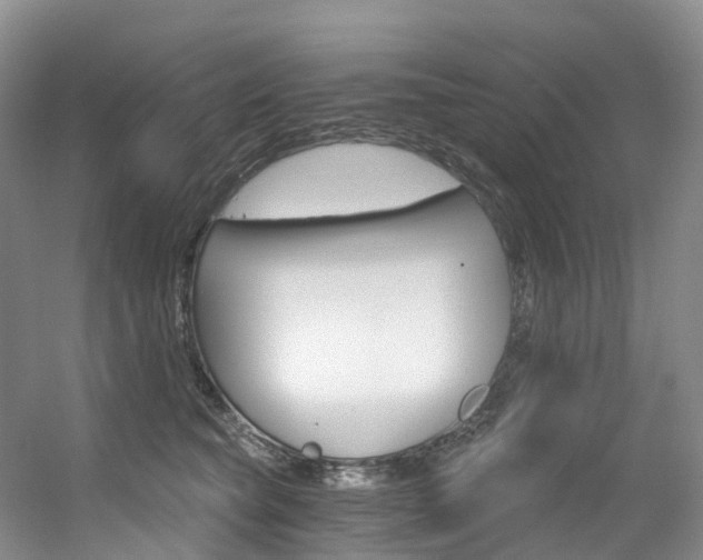 X0000056320565200508260854