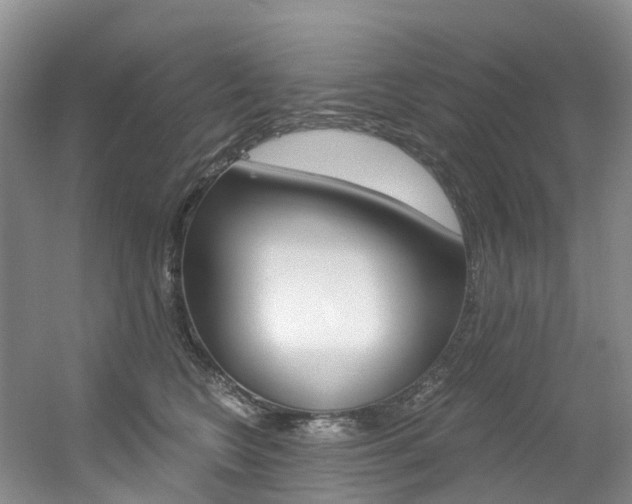 X0000056320566200508260854