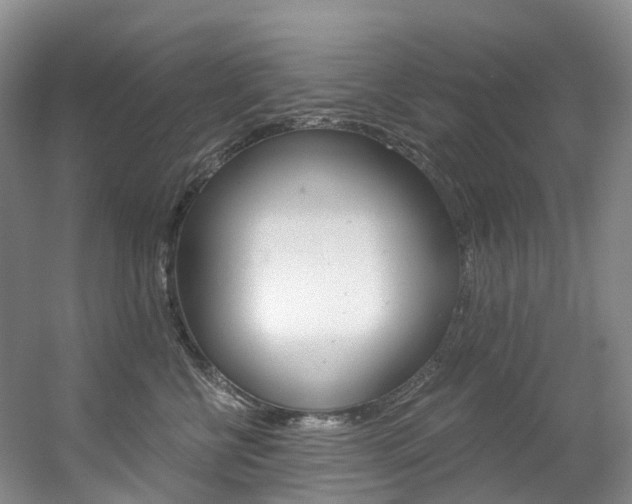 X0000056320570200508260854