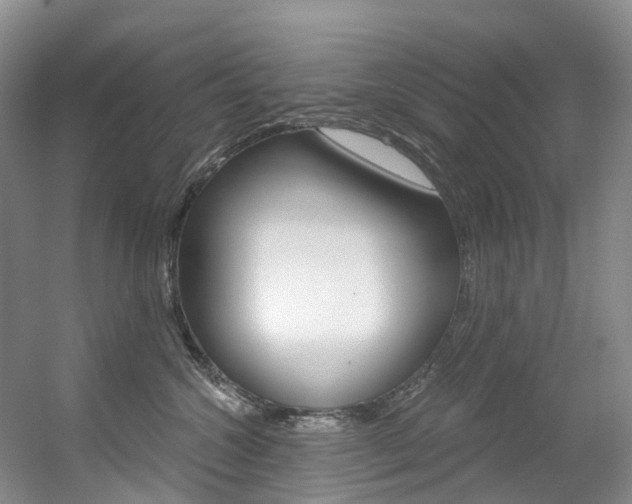X0000056320572200508260854