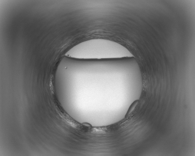 X0000056320573200508260854