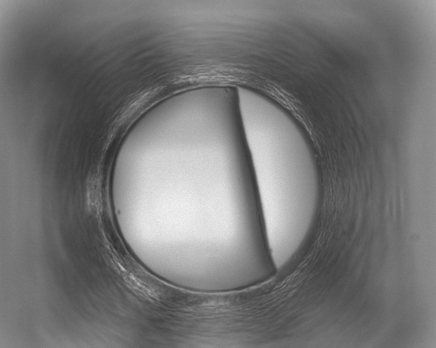 X0000056320578200508260853
