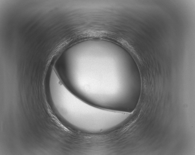 X0000056320581200508260853