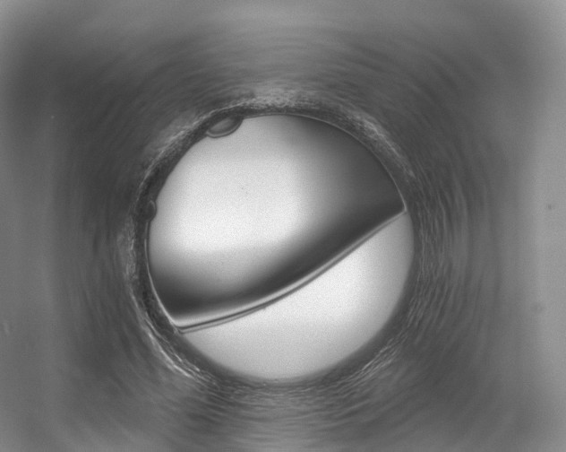 X0000056320588200508260853