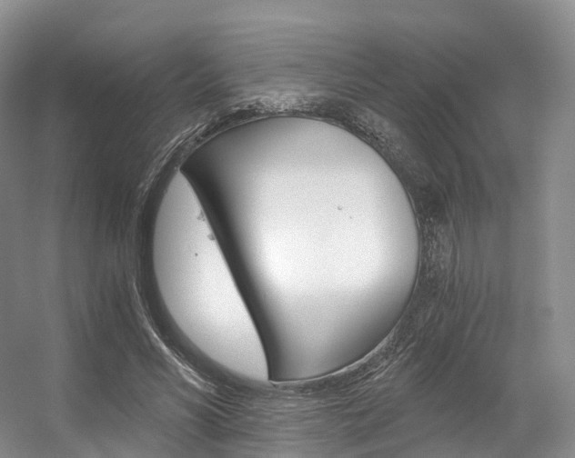 X0000056320590200508260853