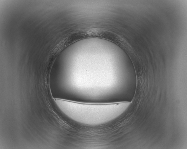 X0000056320593200508260853