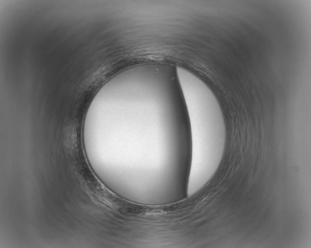 X0000056320595200508260853