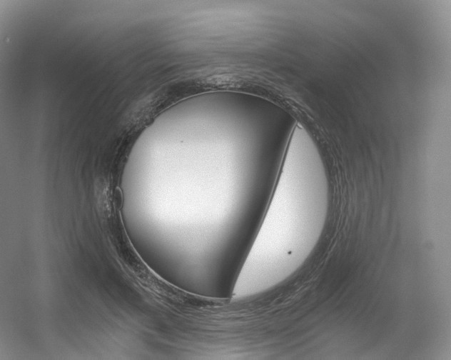X0000056320597200508260853