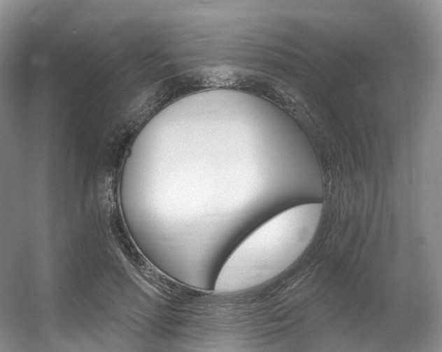 X0000056320598200508260853