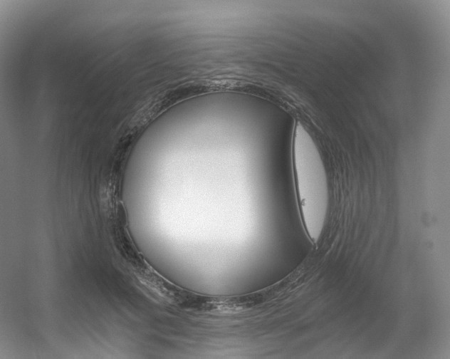 X0000056320601200508260853