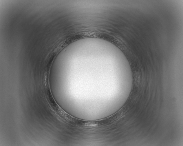 X0000056320602200508260853