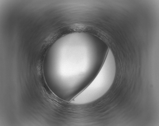 X0000056320604200508260853