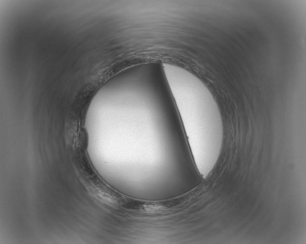 X0000056320605200508260853
