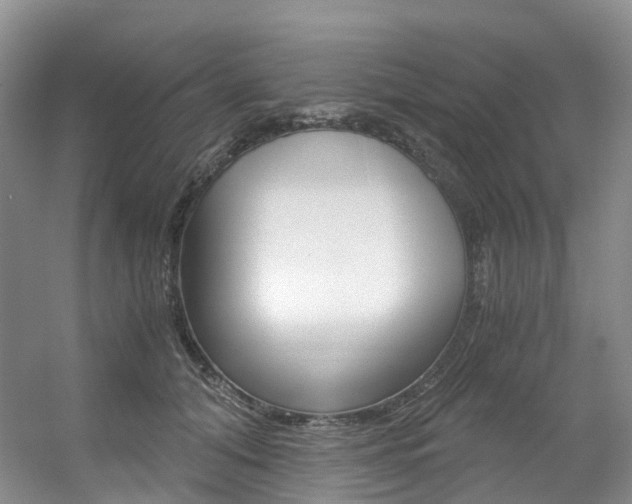 X0000056320608200508260853