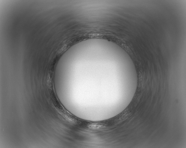 X0000056320614200508260853