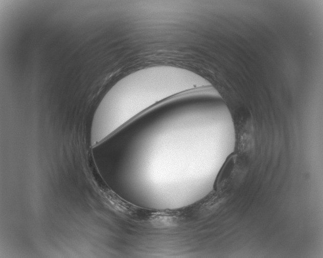 X0000056320620200508260852