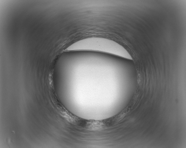 X0000056320621200508260852