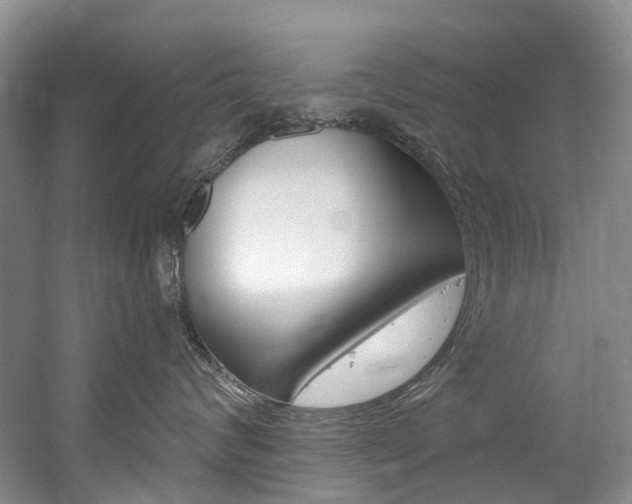 X0000056320624200508260852
