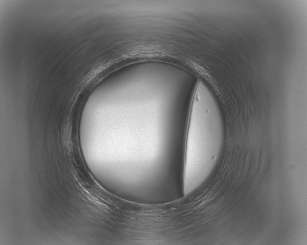 X0000056320627200508260852