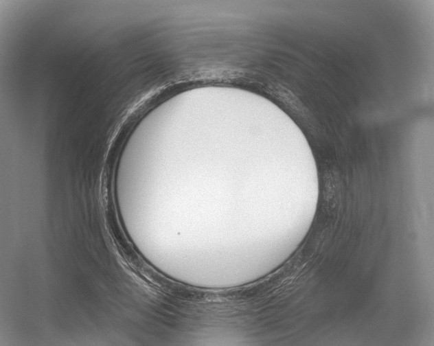X0000056320632200508260852