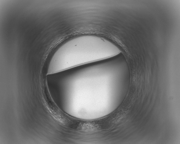 X0000056320635200508260852