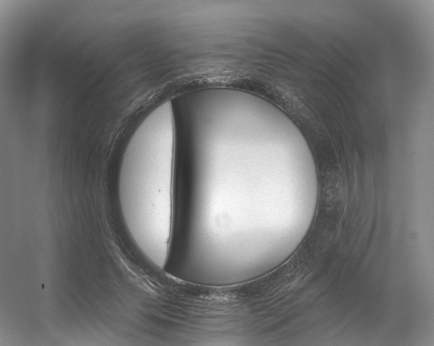 X0000056320639200508260852
