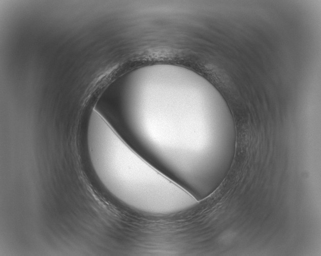 X0000056320640200508260852