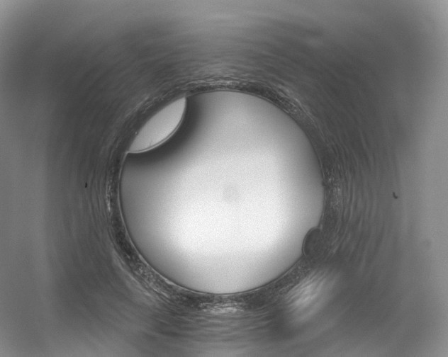 X0000056320643200508260852