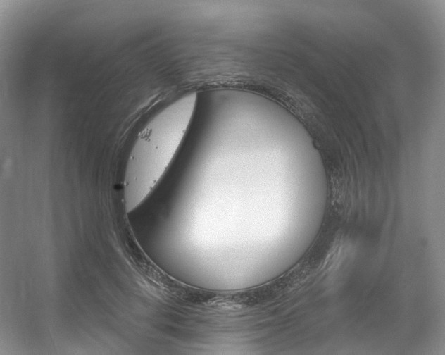 X0000056320648200508260852