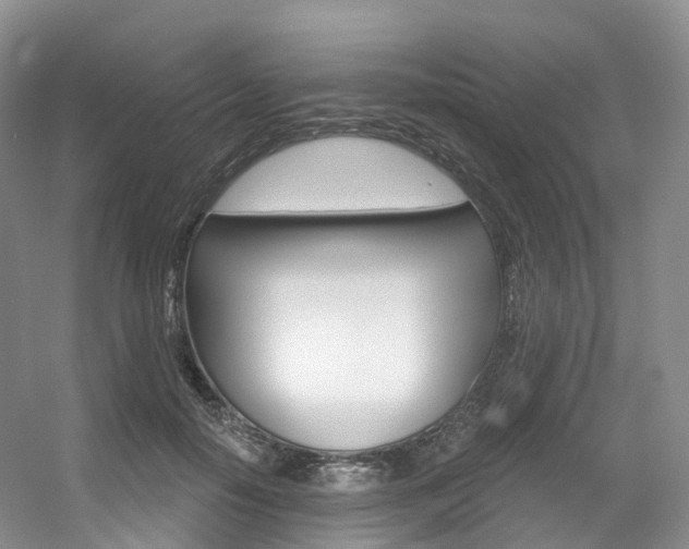 X0000056320650200508260852
