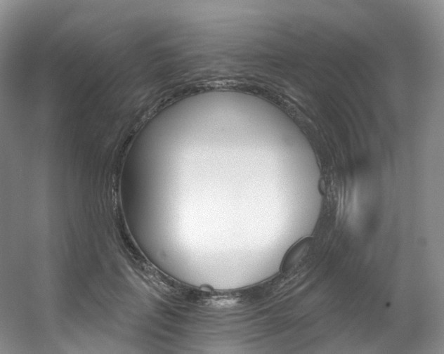 X0000056320651200508260852