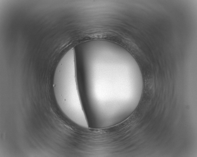 X0000056320652200508260852