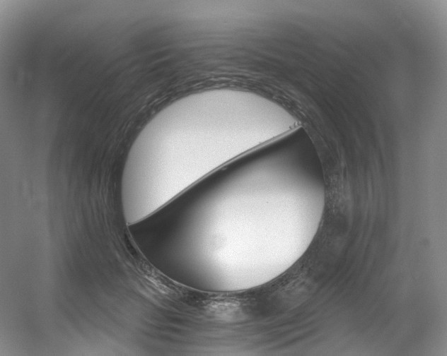 X0000056320653200508260852