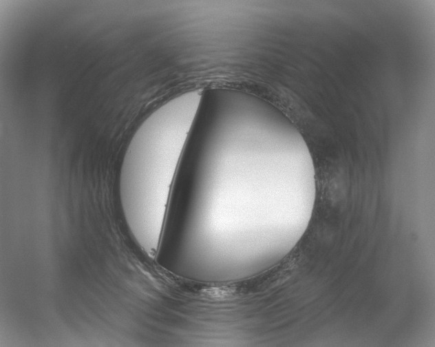 X0000056320660200508260852