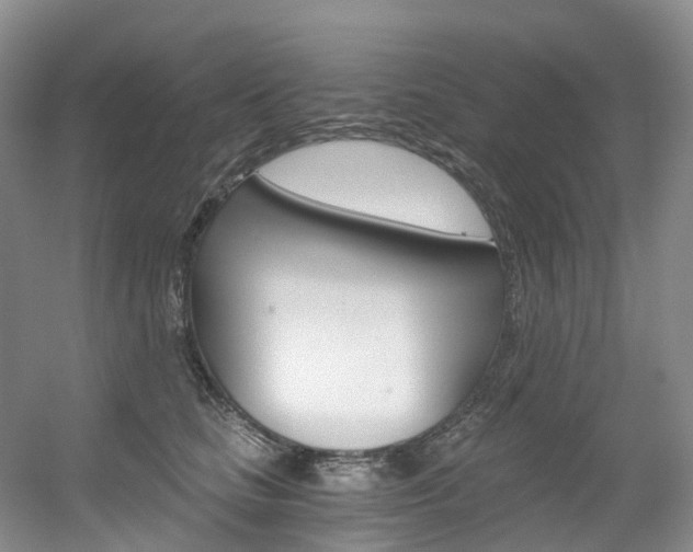 X0000056320661200508260852