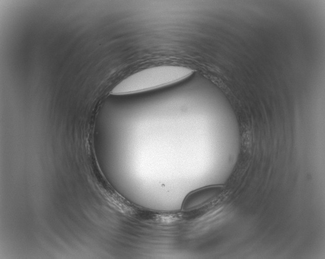 X0000056320662200508260852